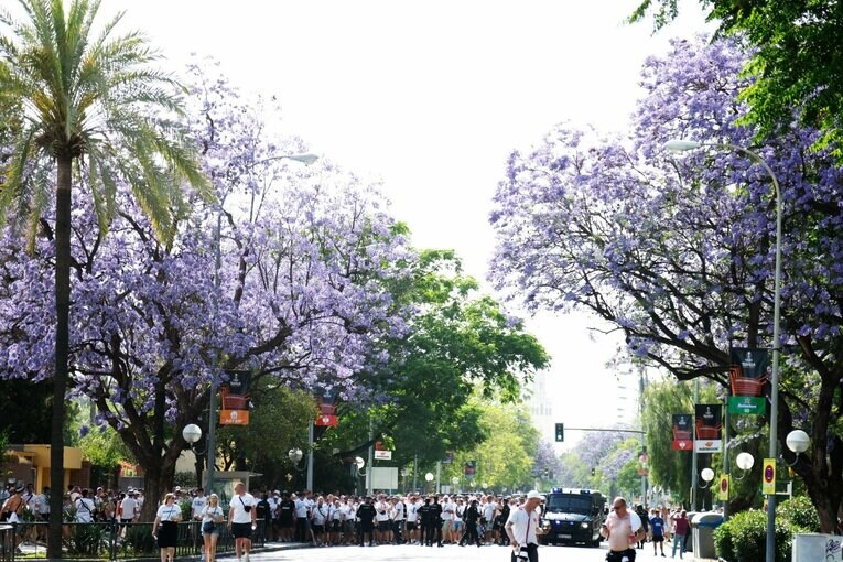 鎌田大地の号泣と“日の丸スパイク”に思い出す4年前の「カタールW杯には絶対出たいですよ」 長谷部誠とのEL優勝写真に“秘められた熱量”とは(7)