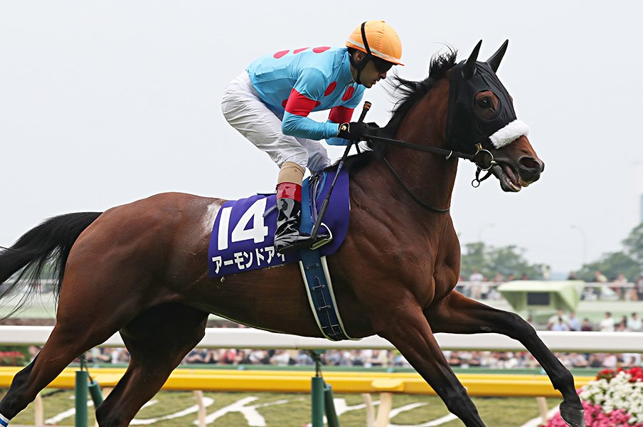 天皇賞・秋、2強の優先順位は?歴史的名牝か伸び盛りの3歳か。<Number Web> photograph by Yuji Takahashi