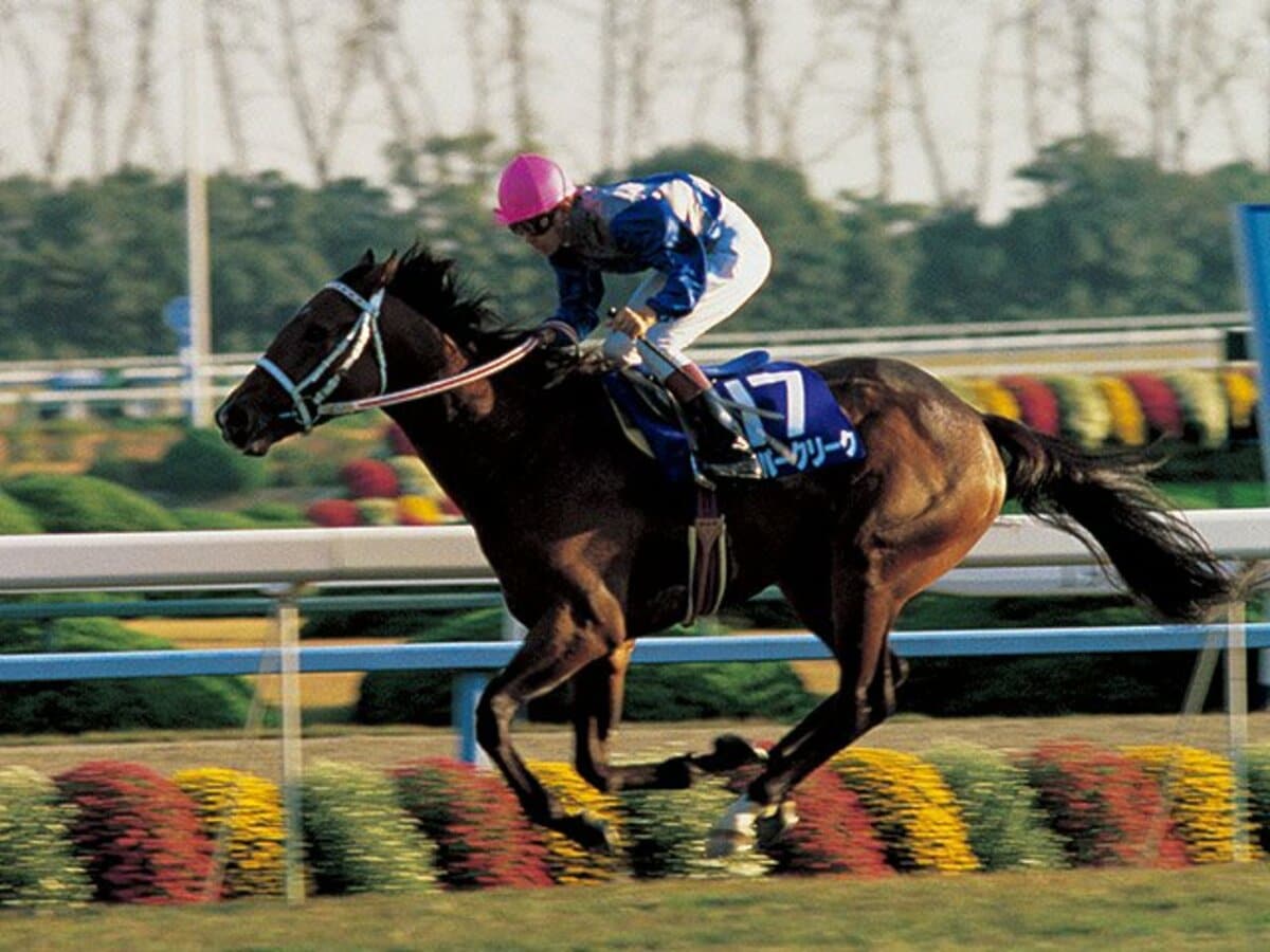スーパークリーク 額縁＋天皇賞秋チケット2枚