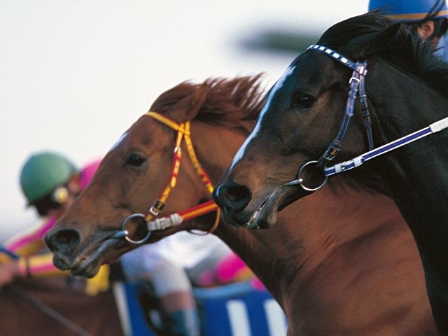 調教師たちの回想］1999 有馬記念 グラスワンダー