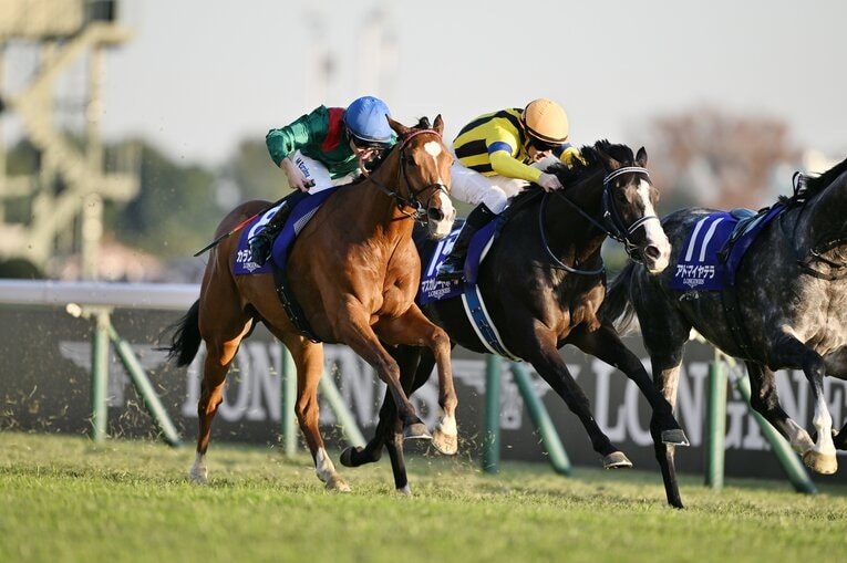 上位2頭の脚色は抜きん出ていた　©Keiji Ishikawa