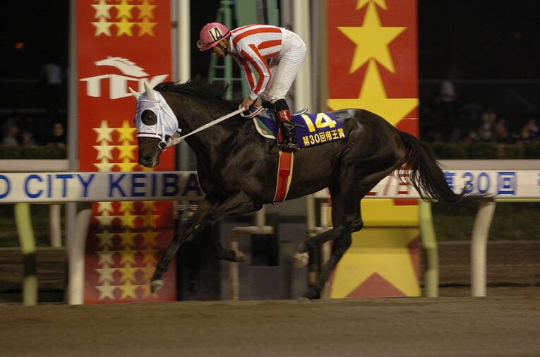 ブルーコンコルドが圧倒的な支持を集めるなか、冷静にインを突いた的場の好騎乗が光った　協力：TCK（東京シティ競馬）