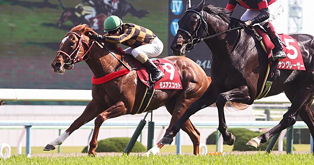 競走馬は連闘でこそ能力を発揮する!?安田記念注目の超良血馬と矢作師