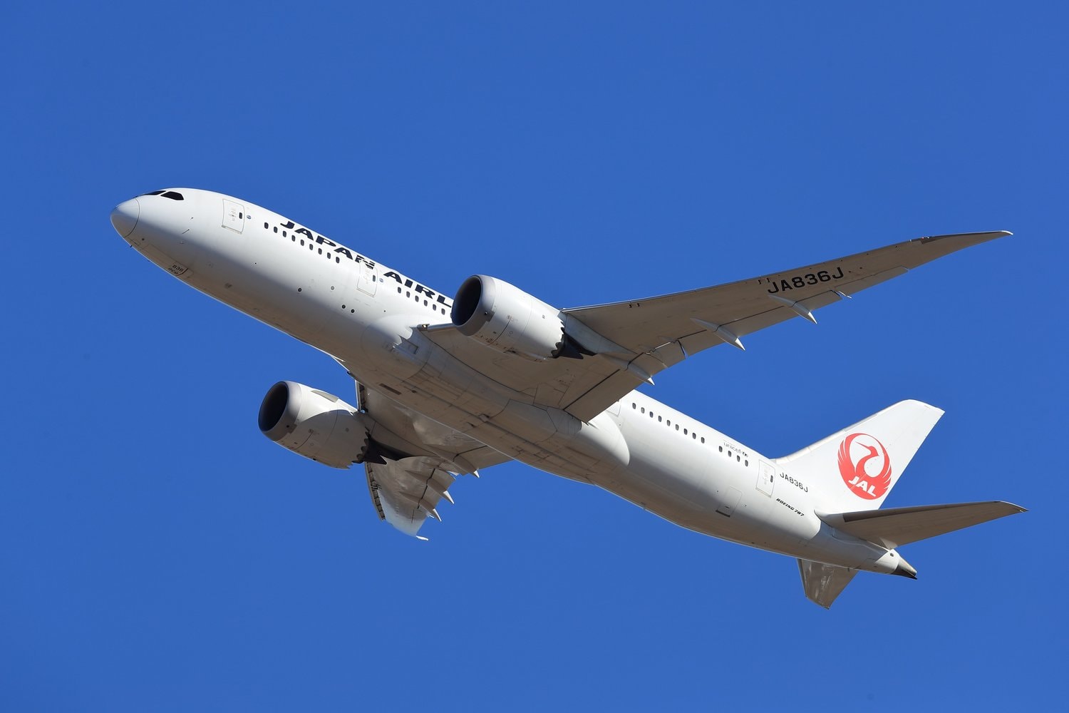 採用倍率100倍以上と言われる超難関をクリア。李はJALのパイロット候補生として働いていたが……　©Getty Images