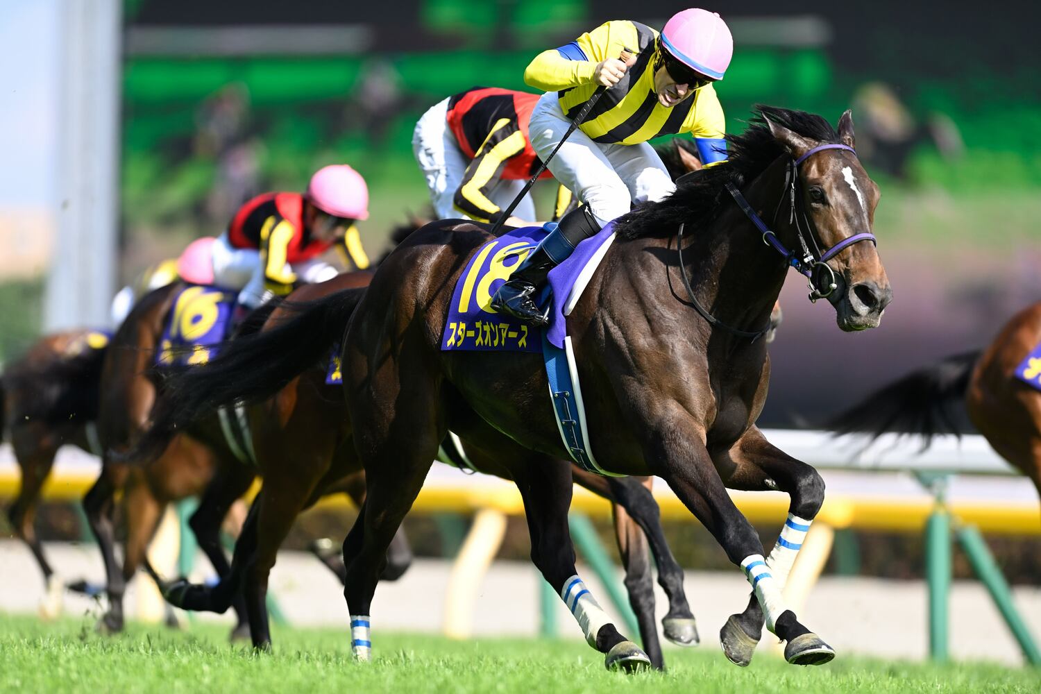 桜花賞とオークスの二冠を制したスターズオンアースの募集価格は2800万円（一口70万円／全40口）だった　©Keiji Ishikawa