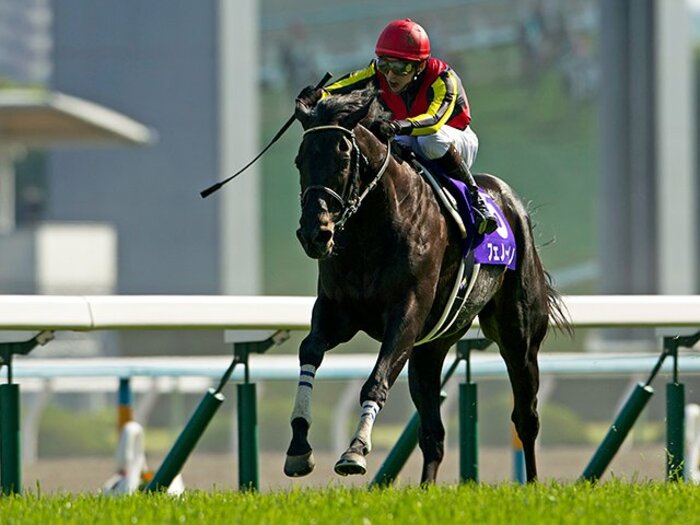 ジェンティル、ゴールド、フェノー。宝塚記念、“最強の4歳”はどの馬だ!?<Number Web> photograph by Kiichi Yamamoto