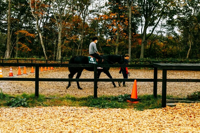 乗馬の体験も可能　©Kiichi Matsumoto