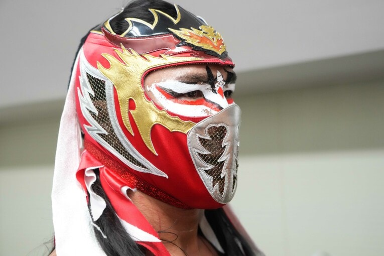 ハヤブサの顔のアップ　©Essei Hara