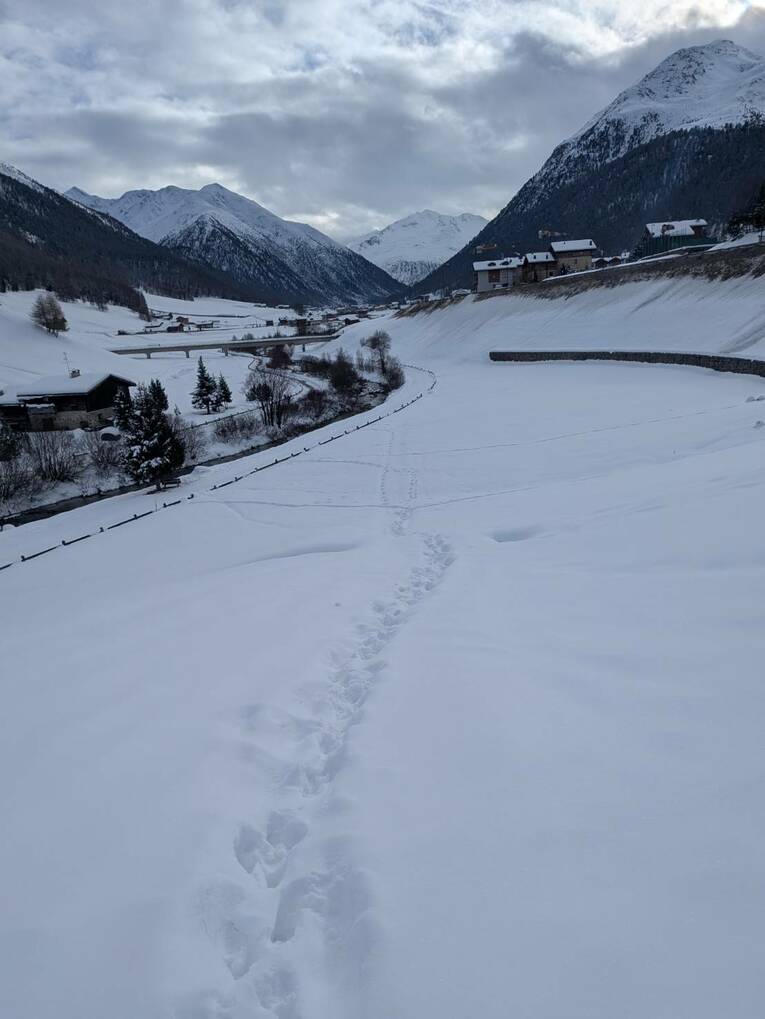 こ、これを行け、と……　©Yumiko Yanai