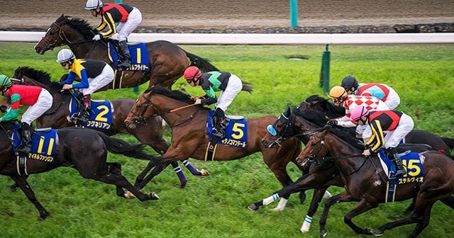 img_ac4de8f7782c3d1a9c5c24230f