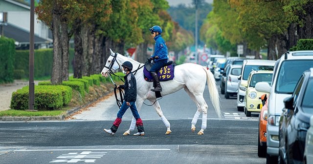 ソダシの気性は「ゴールドシップより荒いかも」…じつは気難しい“純白の