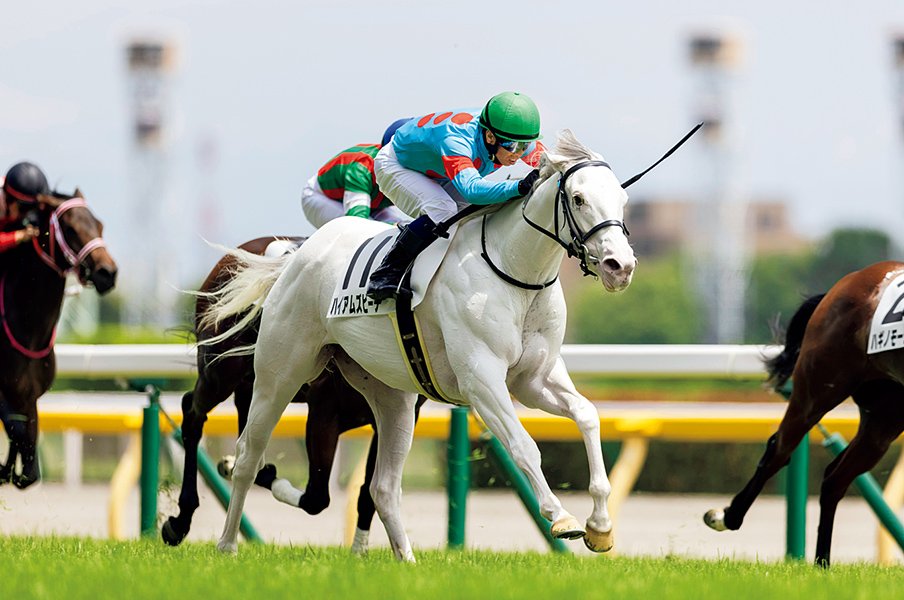 “6月新馬戦デビュー”にダービー馬なし? 勝ち上がり19頭を分析してわかったノーザングループの技術力と本気度<Number Web> photograph by Photostud