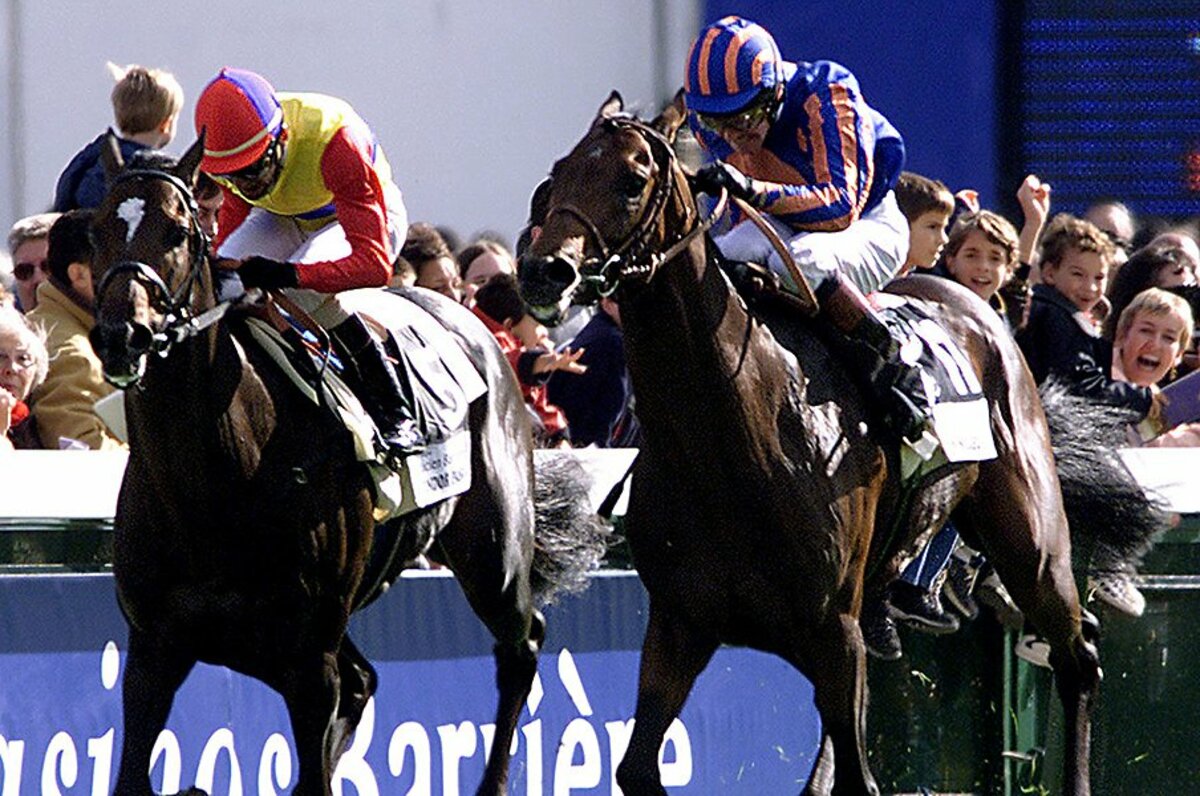 引退 角居師のドバイwcに蛯名正義の凱旋門賞 去る伯楽と名騎手が成し遂げた競馬史に残る偉業 3 3 競馬 Number Web ナンバー