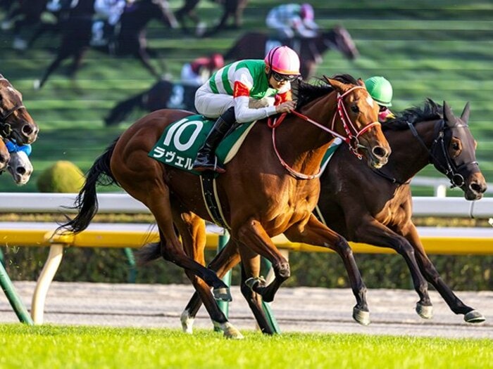 「かなり衝撃を受けた」横山武史も驚愕したウンブライルが阪神JFの本命か…ラヴェルら“無敗の2連勝組”の力は本物？“外枠”の傾向は厳しいが…＜Number Web＞ photograph by Photostud
