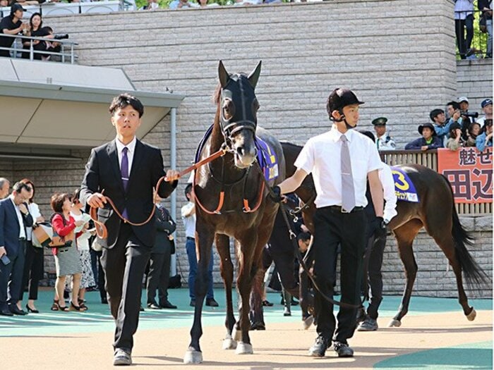 実力拮抗の有馬記念で勝ち馬を当てる“モノサシ”とは？ クロノジェネシスに勝った馬も多いだけに…＜Number Web＞ photograph by Satoshi Hiramatsu