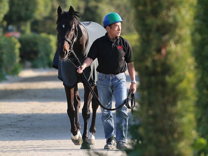 有力馬が不安を抱える天皇賞・春。淀の高速馬場で波乱は起こるのか？＜Number Web＞ photograph by Yuji Takahashi