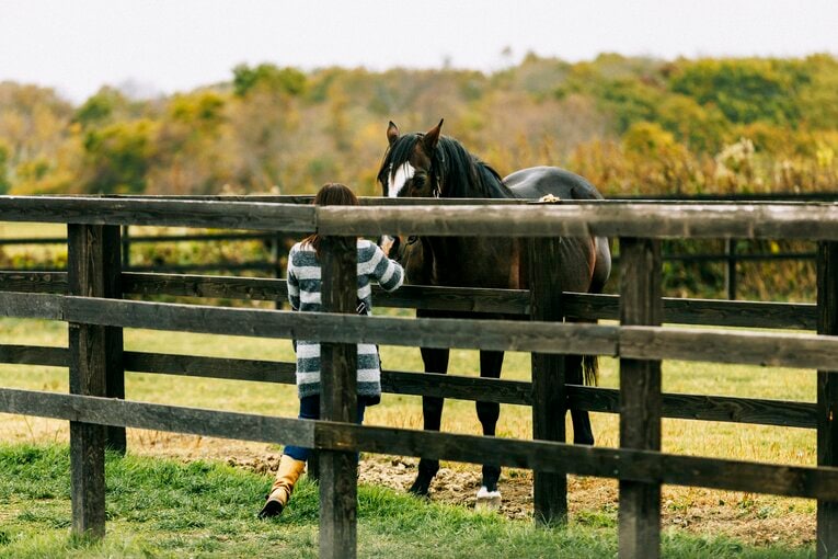 ローズキングダム　©Kiichi Matsumoto