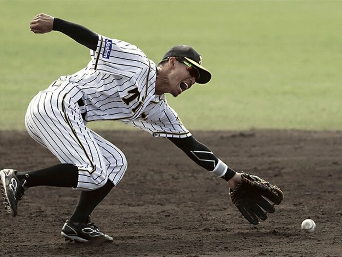 鳥谷敬は目立っているけれど……。藪恵壹が見た、阪神キャンプ。＜Number Web＞ photograph by Kyodo News