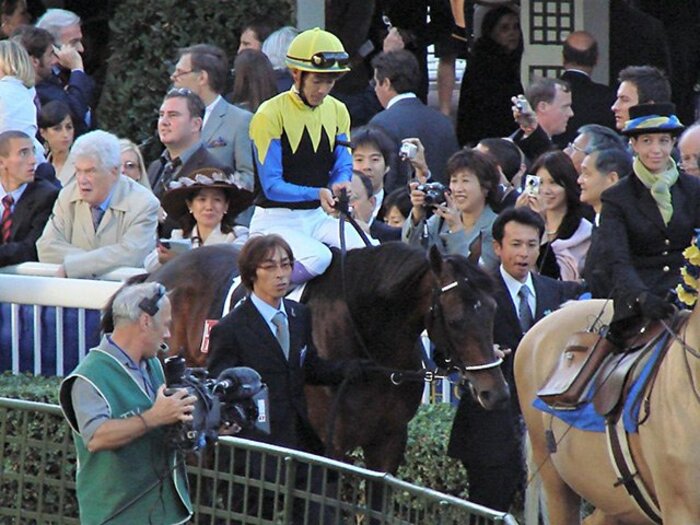 ディープ急死はイギリスでも話題。現役ラストラン、武豊との逸話とは。＜Number Web＞ photograph by Satoshi Hiramatsu