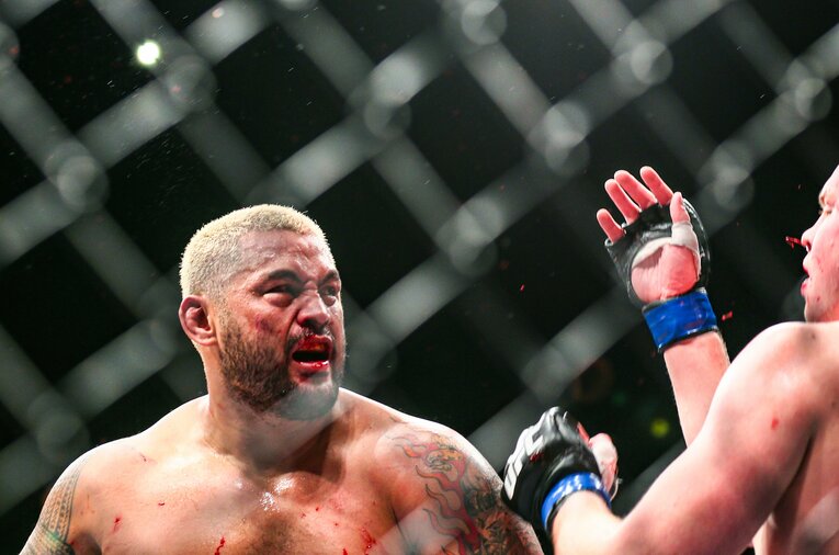 マーク・ハントvs.ステファン・ストルーフェ　©Susumu Nagao