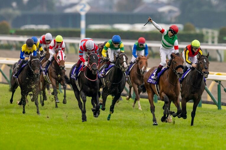 天皇賞・秋でグランアレグリア（一番右）は3着に敗れた