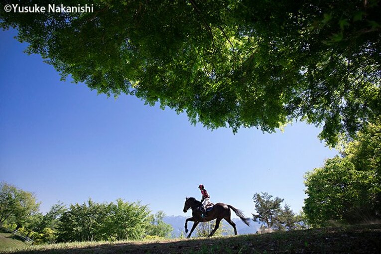 「馬が人を育てる」ということ。桜望と1人の大学生が築いた絆。(4)