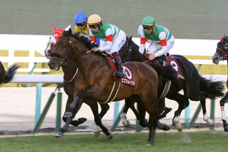 京都記念のレース中盤までは問題なく走っていたように見えたエフフォーリア　©AFLO