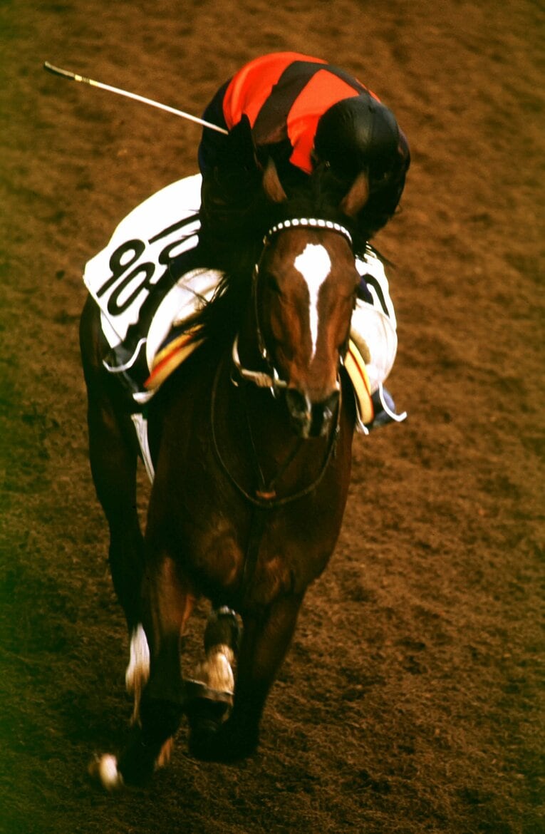 調教中のトウカイテイオー　©Sports Graphic Number