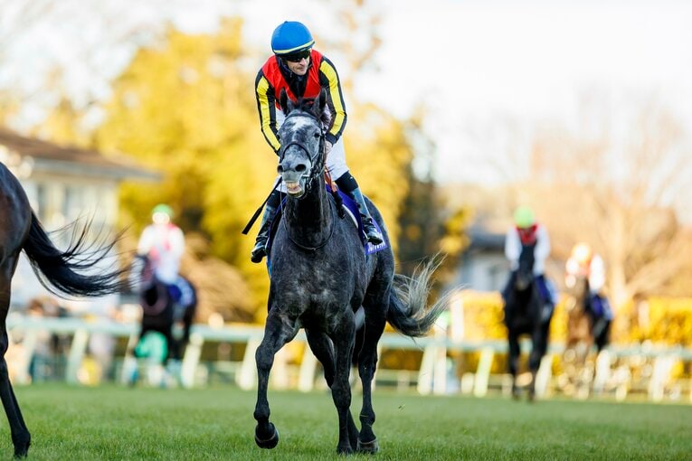 3歳時には有馬記念も制覇（2021年）©Kiichi Matsumoto