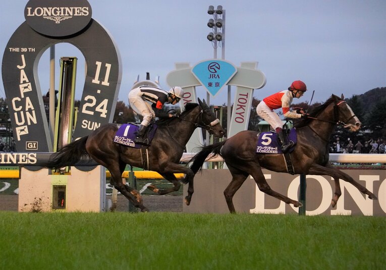 19年ジャパンカップ