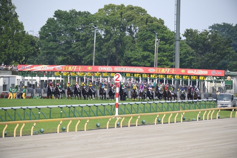 ロジャーバローズが制した2019年の日本ダービー。レースの盛り上がりにファンファーレは必要不可欠だ　©BUNGEISHUNJU