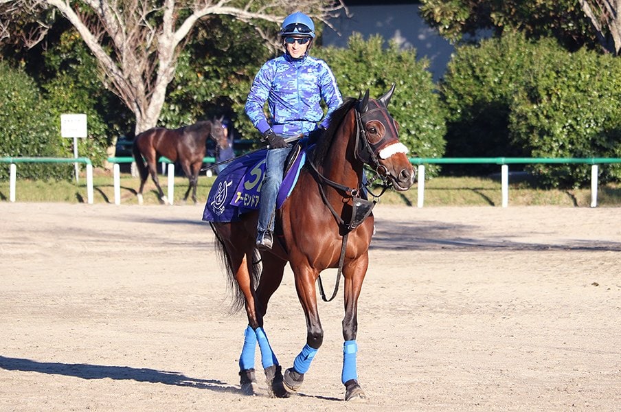 アーモンドアイが最強馬へ進化中。ルメールも「JC、自信あります」。<Number Web> photograph by Satoshi Hiramatsu