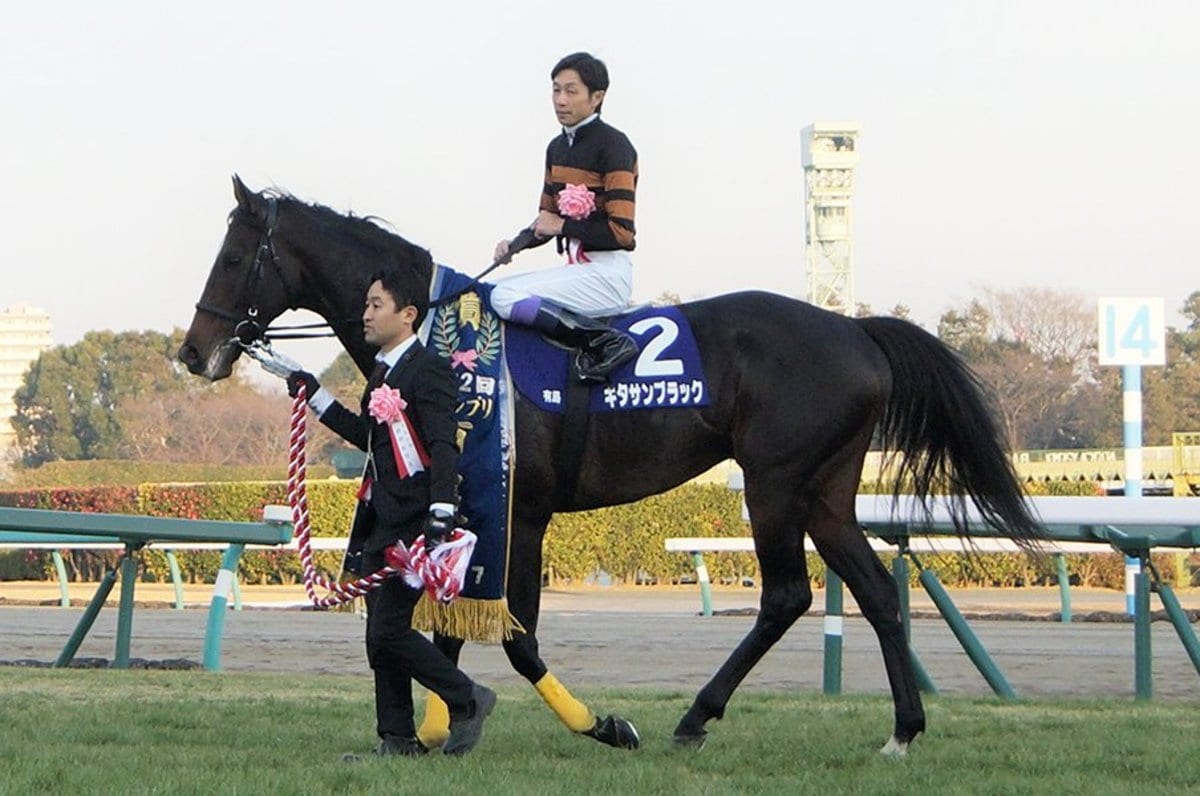 顕彰馬キタサンブラックの深イイ話 北島三郎に清水師 武豊は天に 2 3 競馬 Number Web ナンバー