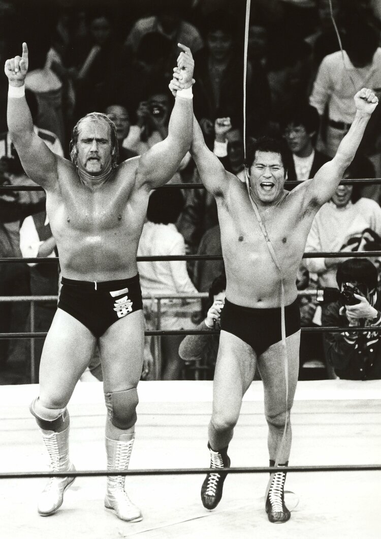 80ｃｍ WWF ハルクホーガン プロレス ボディービル 筋肉マン アントニオ猪 ハルク・ホーガン - Wikiwand