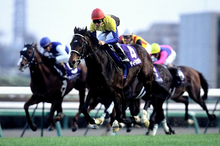 ラストランとなった2006年の有馬記念。2着との差は広がるばかりで、まさに「飛んで」いた ／ photograph by フォトチェスナット