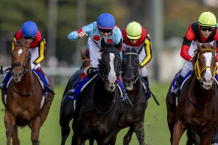 天皇賞・秋を完勝したイクイノックス　©Photostud