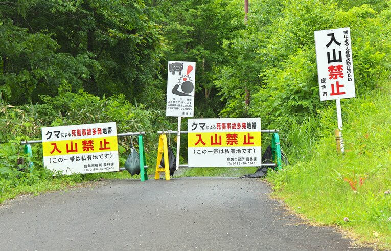 クマによる人身事故防止のため「入山禁止」の看板（秋田県鹿角市、2024年６月）　©︎JIJI PRESS