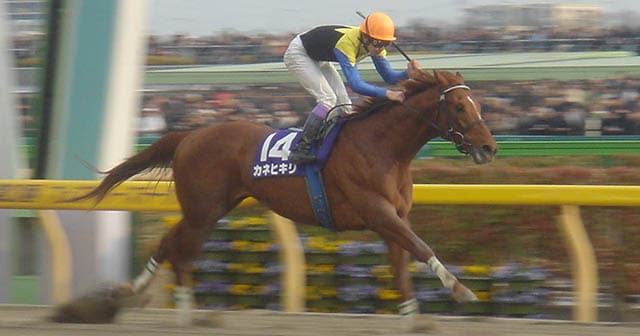 角居師最後のGIレースに思い出すカネヒキリとの名タッグ 「終わった