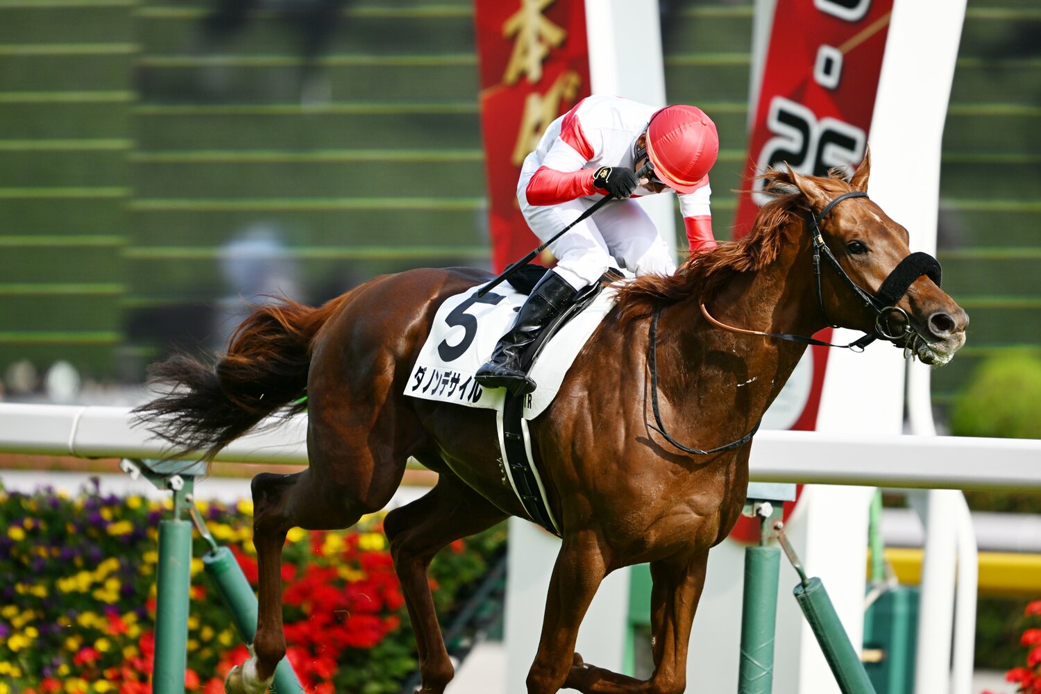 ジャスティンミラノを突き放し、1着でゴール板を駆け抜けたダノンデサイル　©Keiji Ishikawa