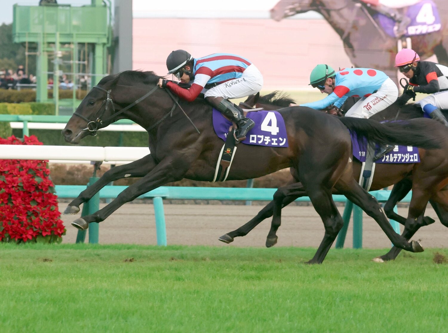 デビュー2戦目でホープフルステークスを制したロブチェン。先日の共同通信杯は3着だった　©Sankei Shimbun