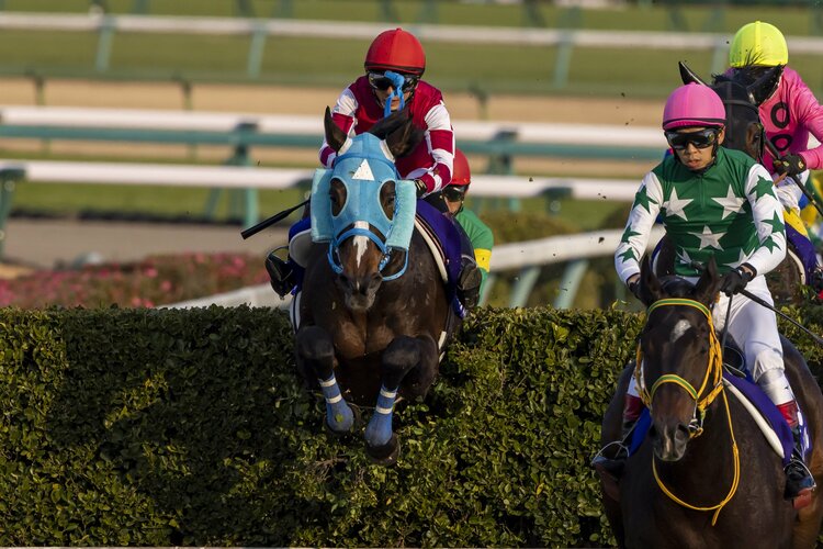 障害界の絶対王者”オジュウチョウサンが相棒・石神深一とラストランへ