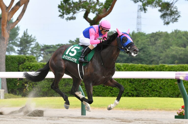 8月8日のレパードSをメイショウムラクモで勝利　©Sankei Shinbun