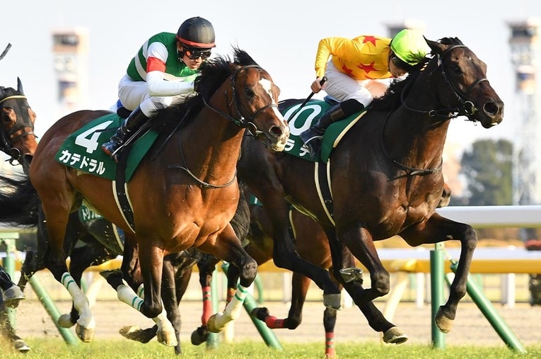 昨年の東京新聞杯を制したカラテ ／ photograph by Sankei Shinbun