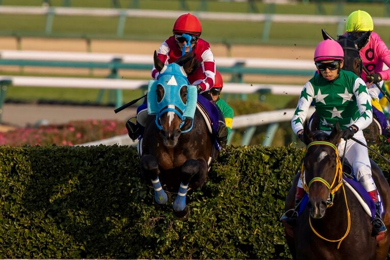 2021年、3度目の中山大障害制覇を果たしたオジュウチョウサン　©Photostud