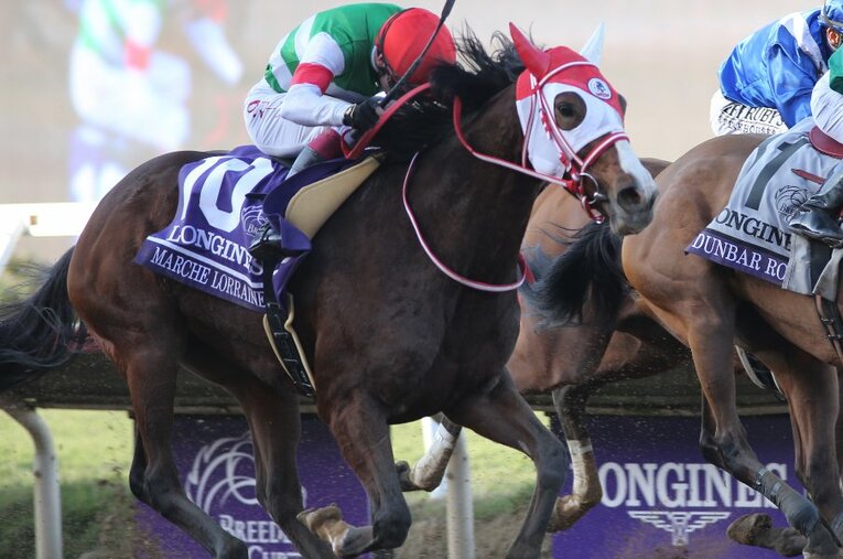 ブリーダーズカップディスタフにて日本馬として初優勝を果たしたマルシュロレーヌ ／ photograph by Getty Images