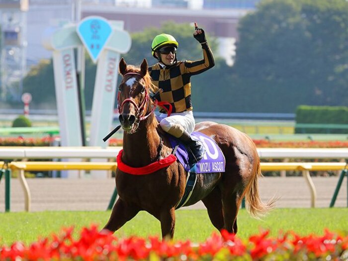 連闘モズアスコット◎が大的中!安田記念で矢作師を信じた根拠。<Number Web> photograph by Yuji Takahashi