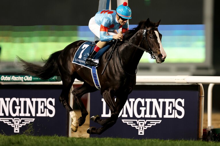 イクイノックスはレーティング世界1位（2023年／継続中）の129ポンドをマークした　©Getty Images