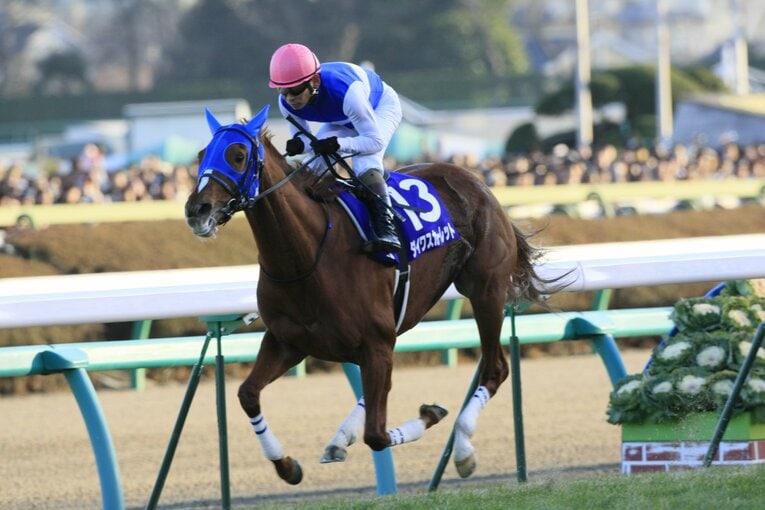 2008年、安藤勝己を背に牝馬として37年ぶりに有馬記念を制したダイワスカーレット　©Tomohiko Hayashi