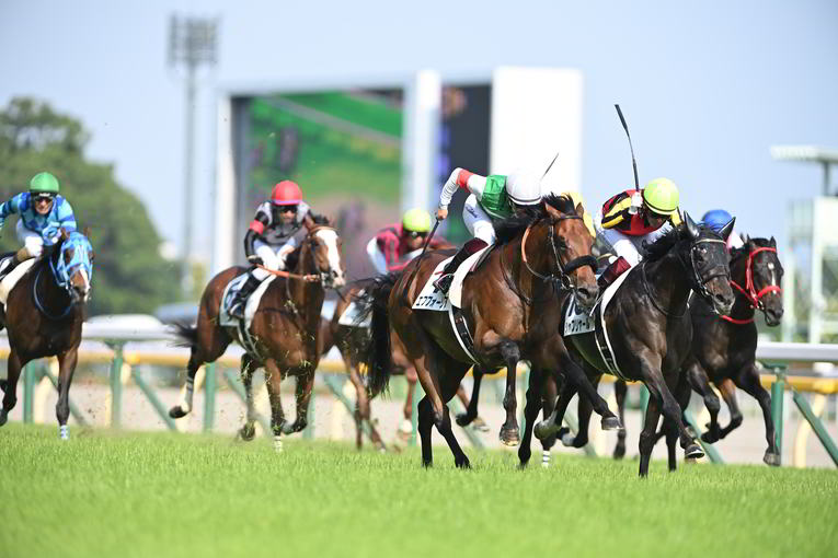 日本ダービー、最終直線の追い比べ　©Keiji Ishikawa