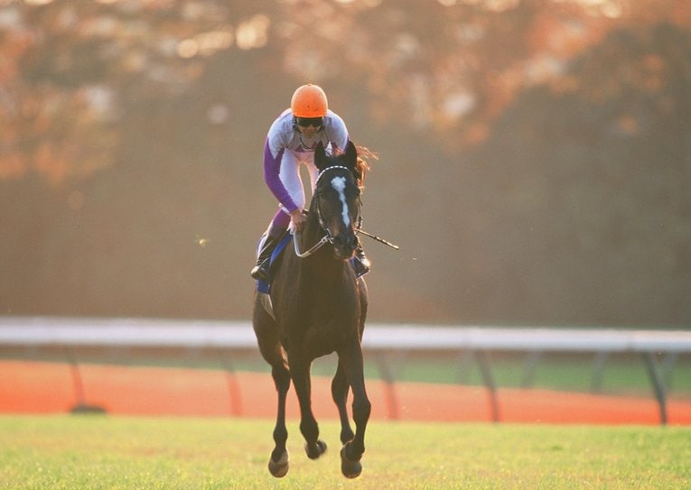 スペシャルウィークと武豊　©Sports Graphic Number